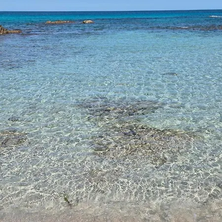 Bel T3 Vue Sur Mer, 400 De La Et Des Commerces *